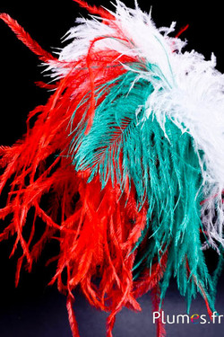 Plumet autruche - hauteur 18 cm - blanc-vert-rouge
